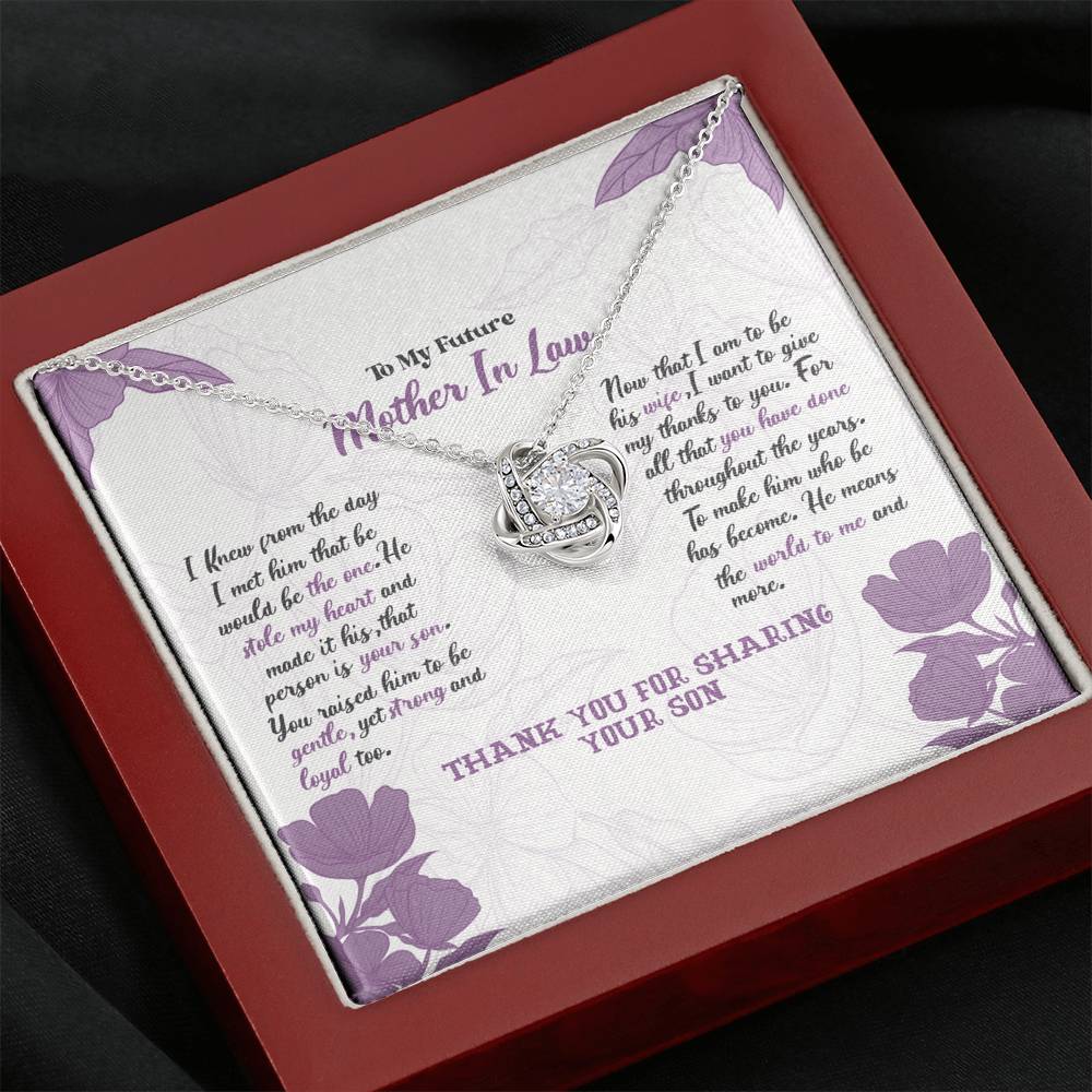 Mother-In-Law - He Means The World To Me